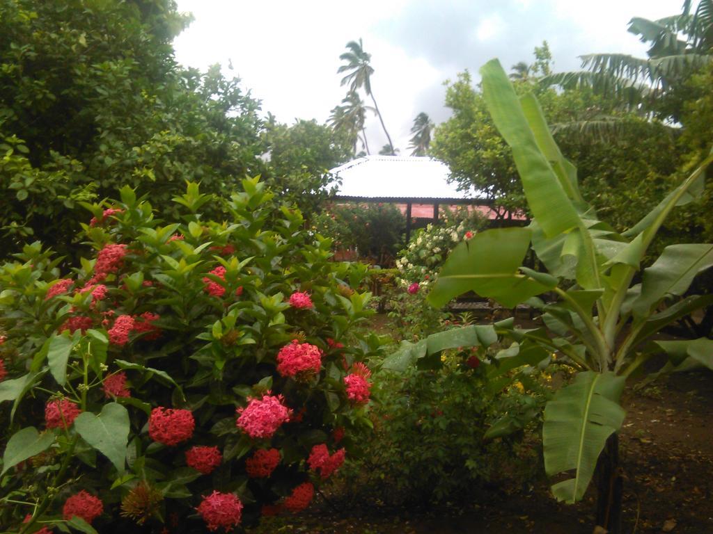 Hostal La Cascada San Ramon Merida Exterior photo